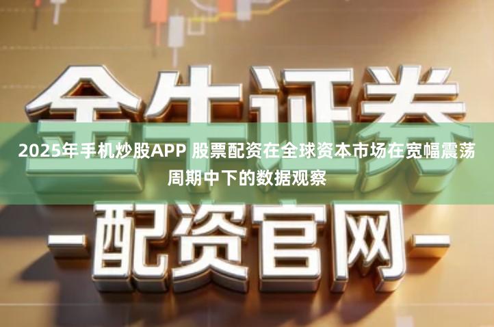 2025年手机炒股APP 股票配资在全球资本市场在宽幅震荡周期中下的数据观察