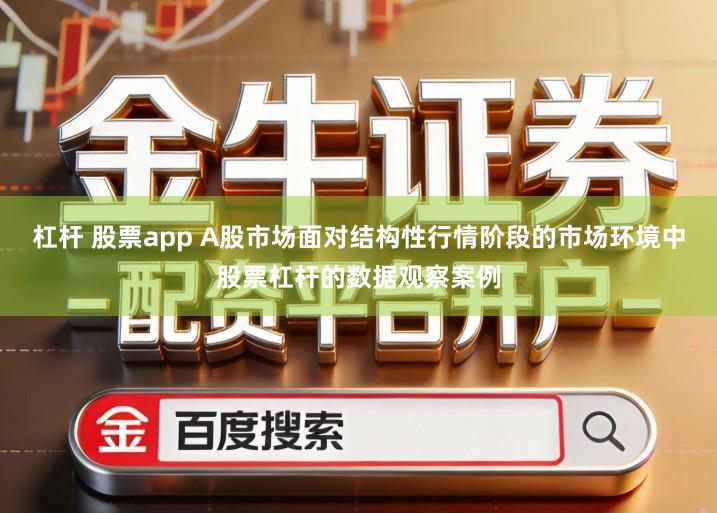 杠杆 股票app A股市场面对结构性行情阶段的市场环境中股票杠杆的数据观察案例