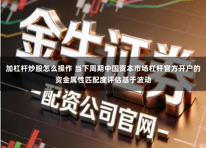 加杠杆炒股怎么操作 当下周期中国资本市场杠杆官方开户的资金属性匹配度评估基于波动