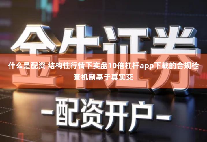 什么是配资 结构性行情下实盘10倍杠杆app下载的合规检查机制基于真实交